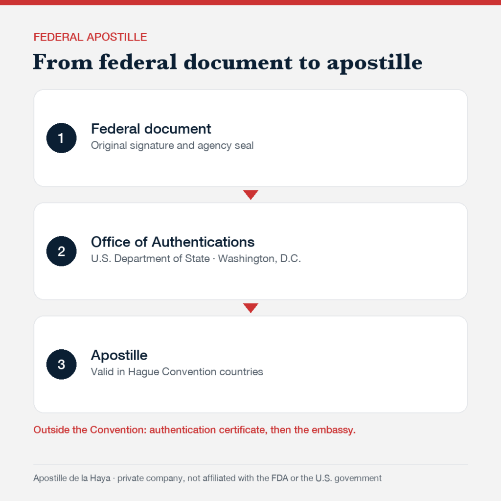 Federal apostille: from the signed federal document to the Office of Authentications